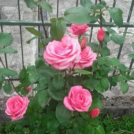 Casa Nan Bed & Breakfast