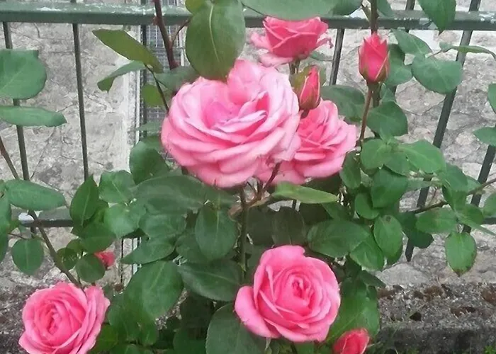 Casa Nan Nocleg ze śniadaniem